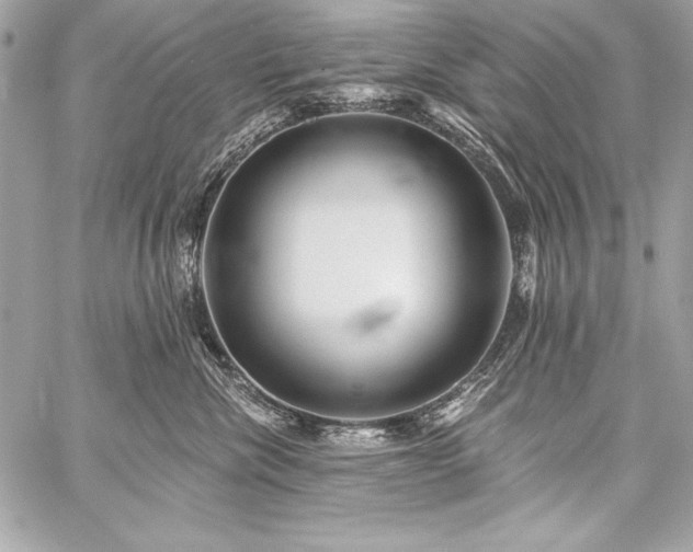 X0000059240476200510141107