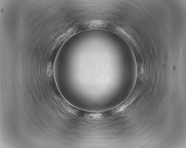 X0000059240478200510141107