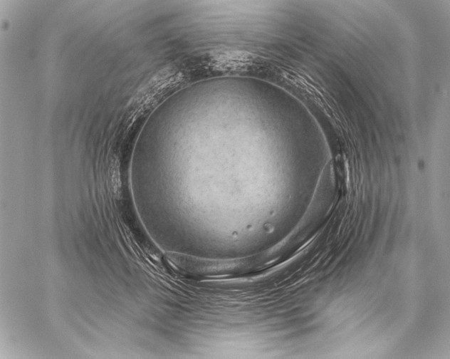 X0000059240508200510141106
