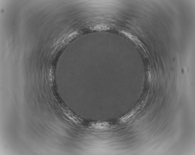 X0000059240517200510141106