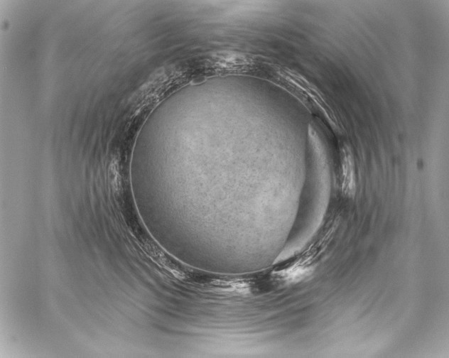 X0000059240520200510141106