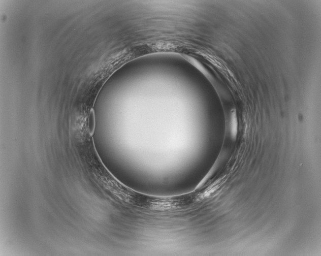 X0000059240521200510141106