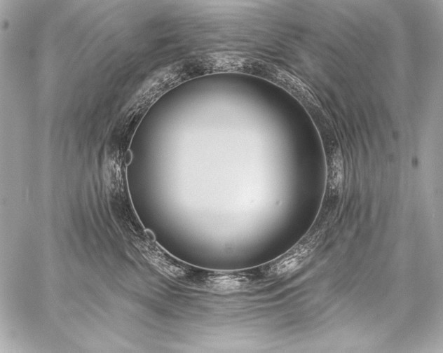 X0000059240522200510141106