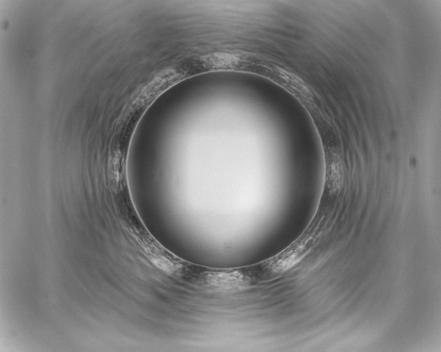 X0000059240525200510141106