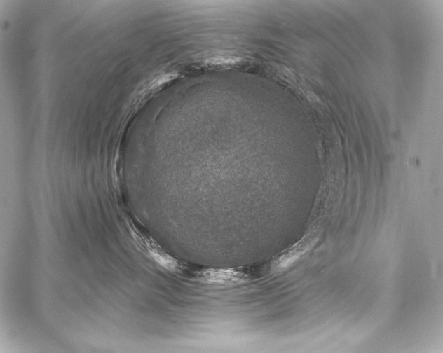 X0000059240528200510141106