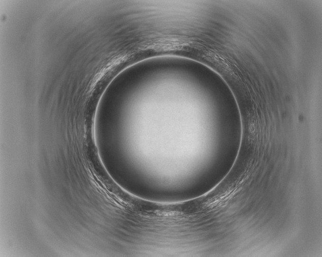 X0000059240539200510141105