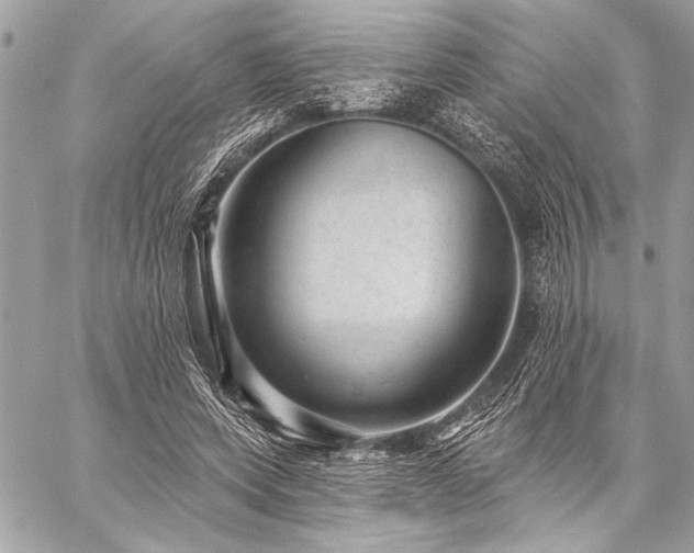 X0000059240543200510141105
