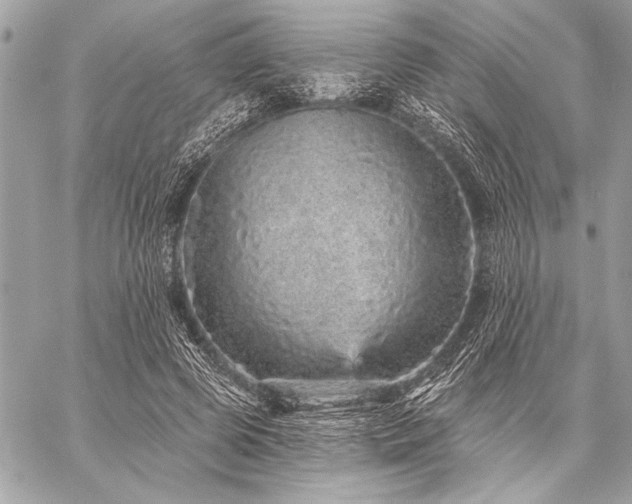 X0000059240545200510141105