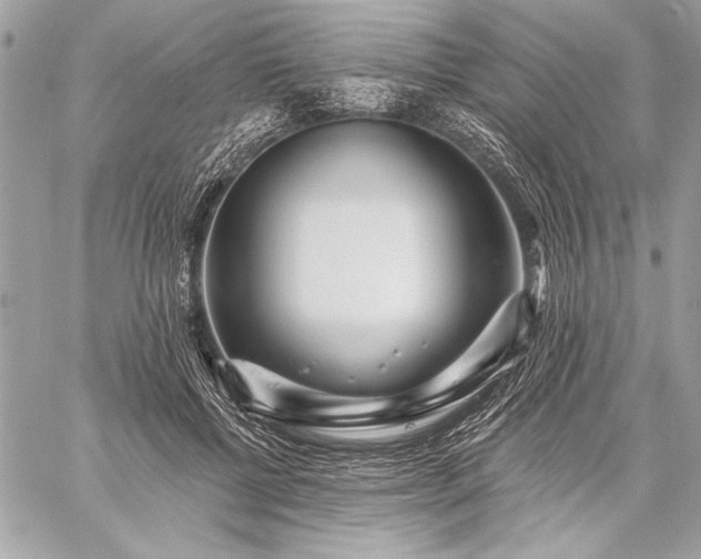 X0000059240552200510141105