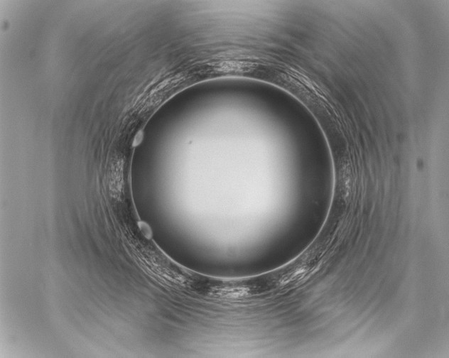 X0000059240554200510141105