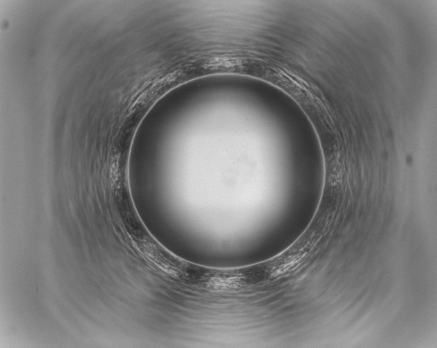 X0000059240560200510141105