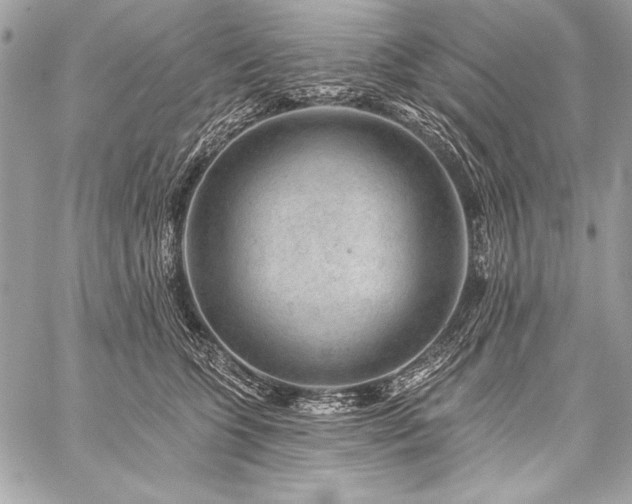 X0000059240563200510141105