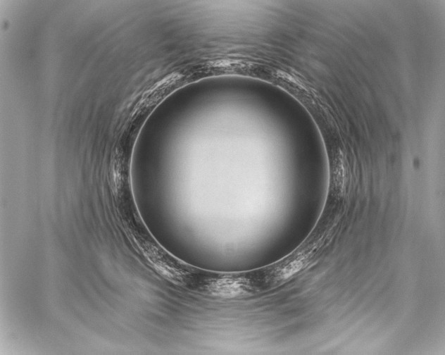 X0000059240566200510141106