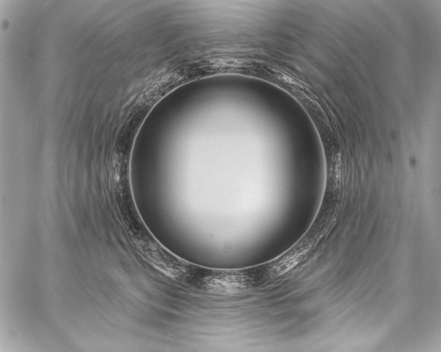 X0000059240567200510141106