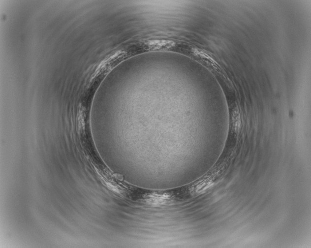 X0000059240570200510141106