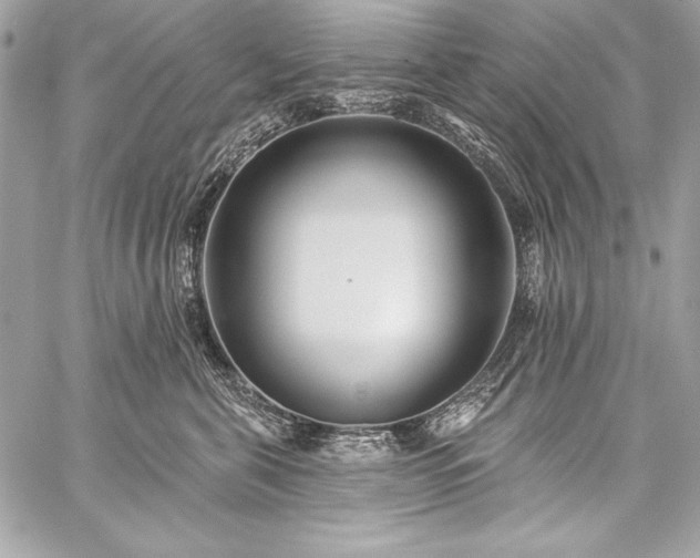 X0000059240571200510141106