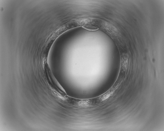 X0000059240574200510141106