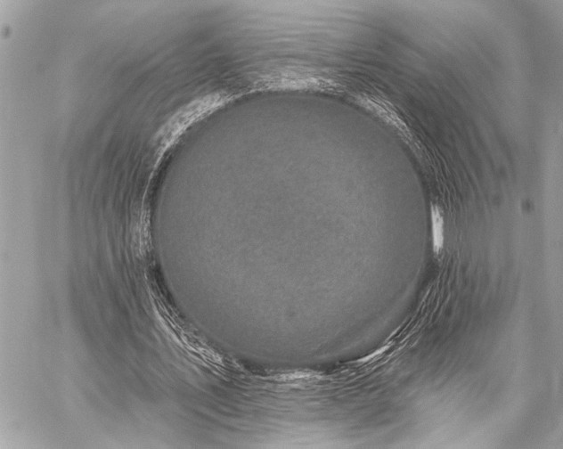 X0000059240579200510141105