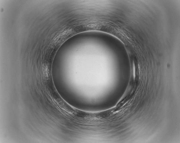 X0000059240597200510141105