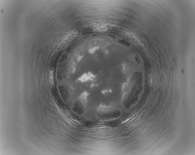 X0000059240598200510141105