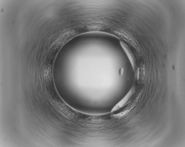 X0000059240601200510141105