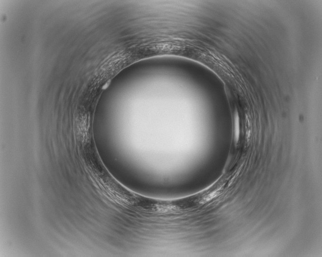 X0000059240605200510141104