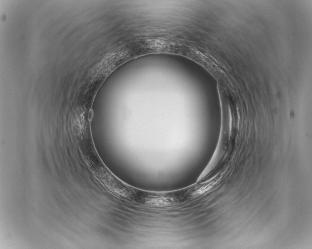 X0000059240611200510141104
