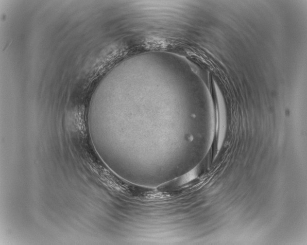 X0000059240616200510141104