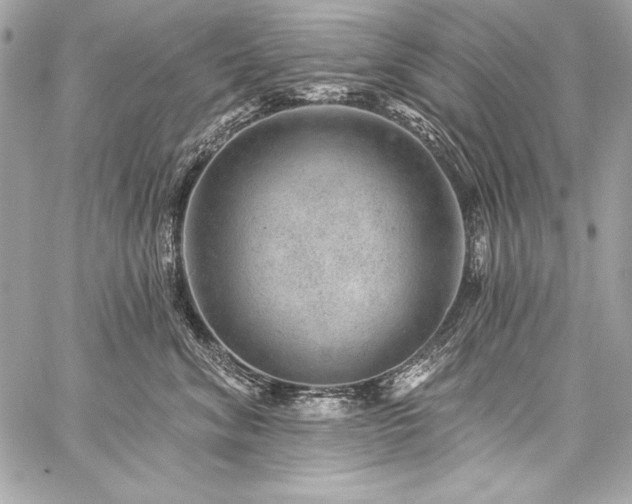X0000059240620200510141104