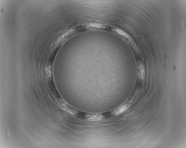 X0000059240621200510141104