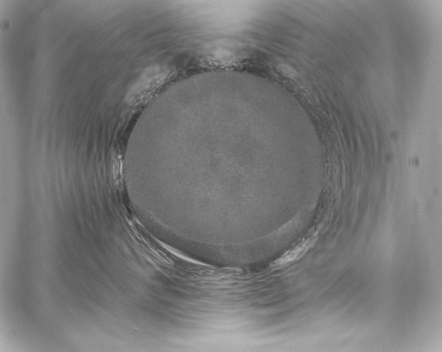 X0000059240624200510141104