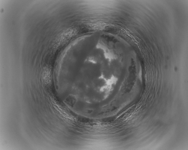 X0000059240641200510141104