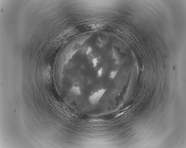 X0000059240650200510141104