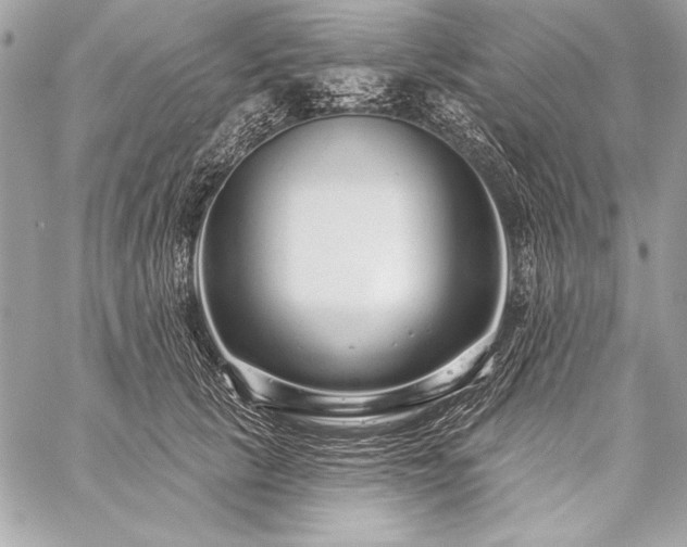 X0000059240657200510141104