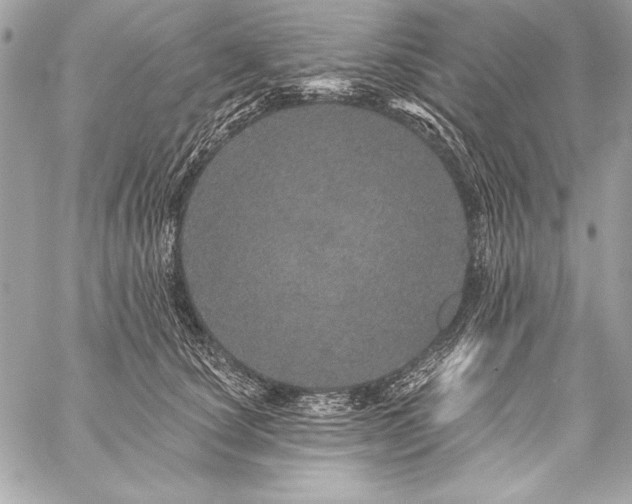 X0000059240660200510141104