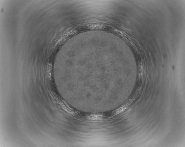 X0000059240664200510141104