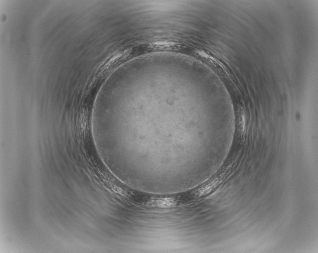 X0000059240665200510141104