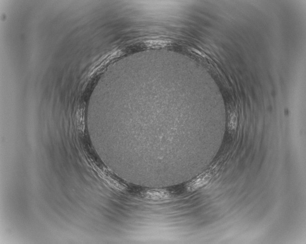 X0000059240666200510141104
