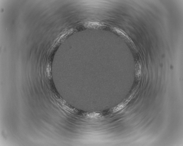 X0000059240669200510141104