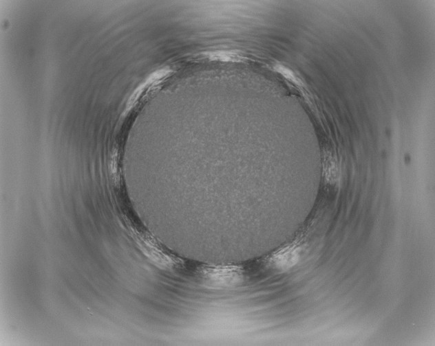 X0000059240670200510141104