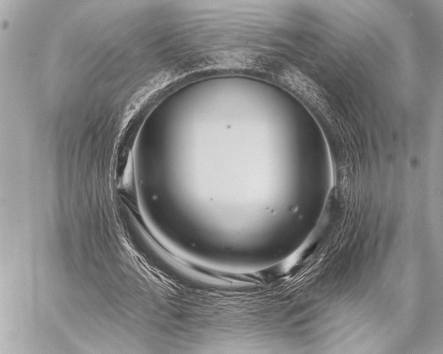 X0000059240676200510141103