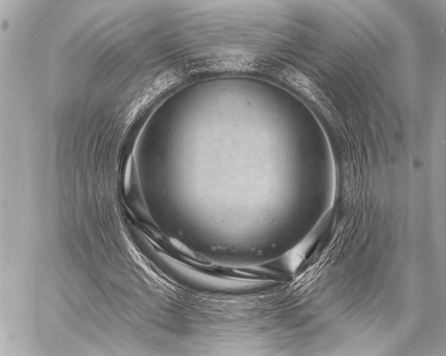 X0000059240677200510141103