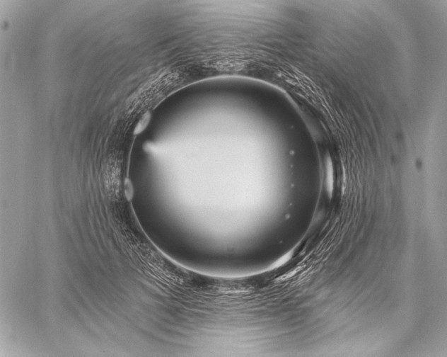 X0000059240697200510141103