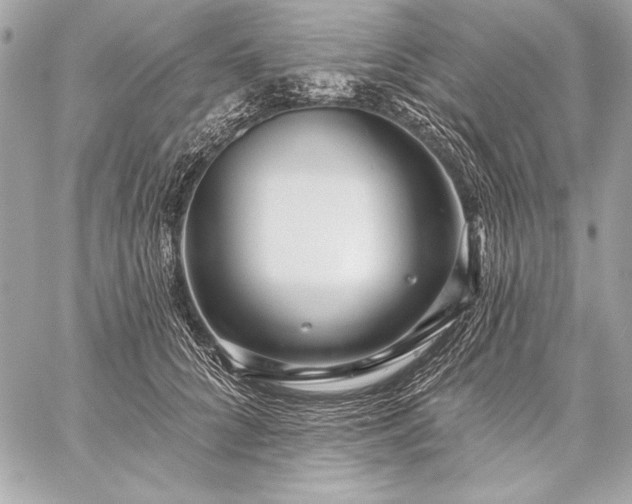 X0000059240704200510141103