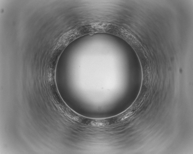 X0000059240706200510141103