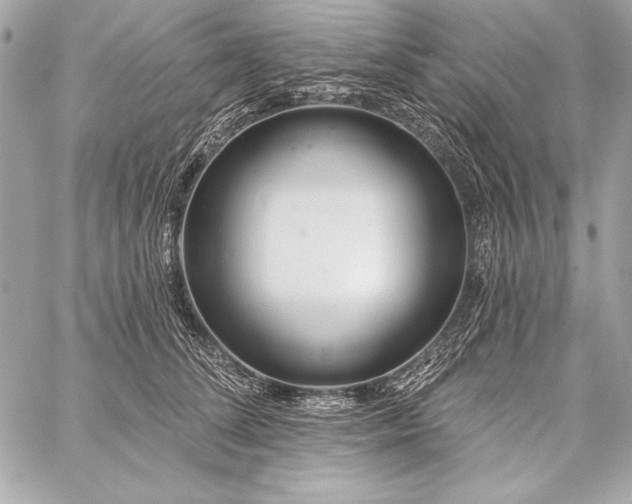 X0000059240708200510141103