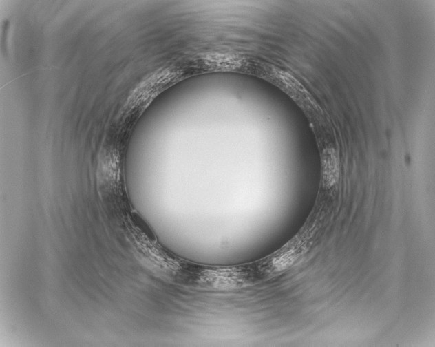 X0000059240713200510141103