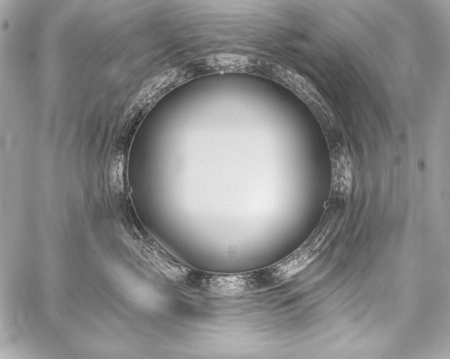 X0000059240717200510141103