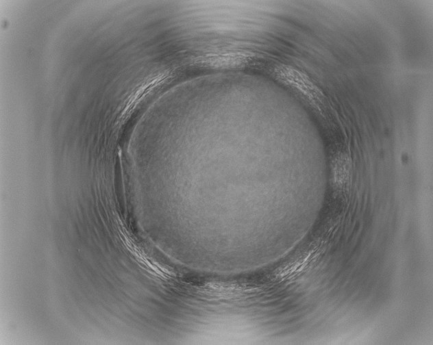 X0000059240733200510141102