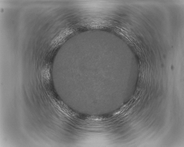 X0000059240746200510141102